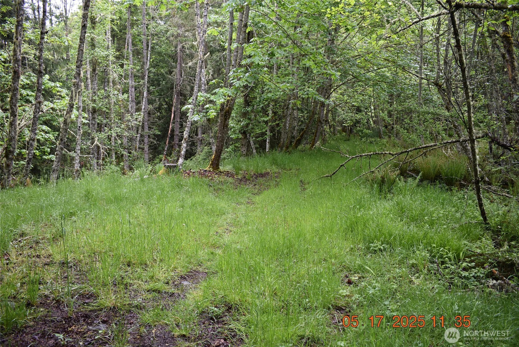 40 Township Line Rd Port Port Angeles, WA 98362 - Photo 22 of 34 a view of a green field with lots of bushes