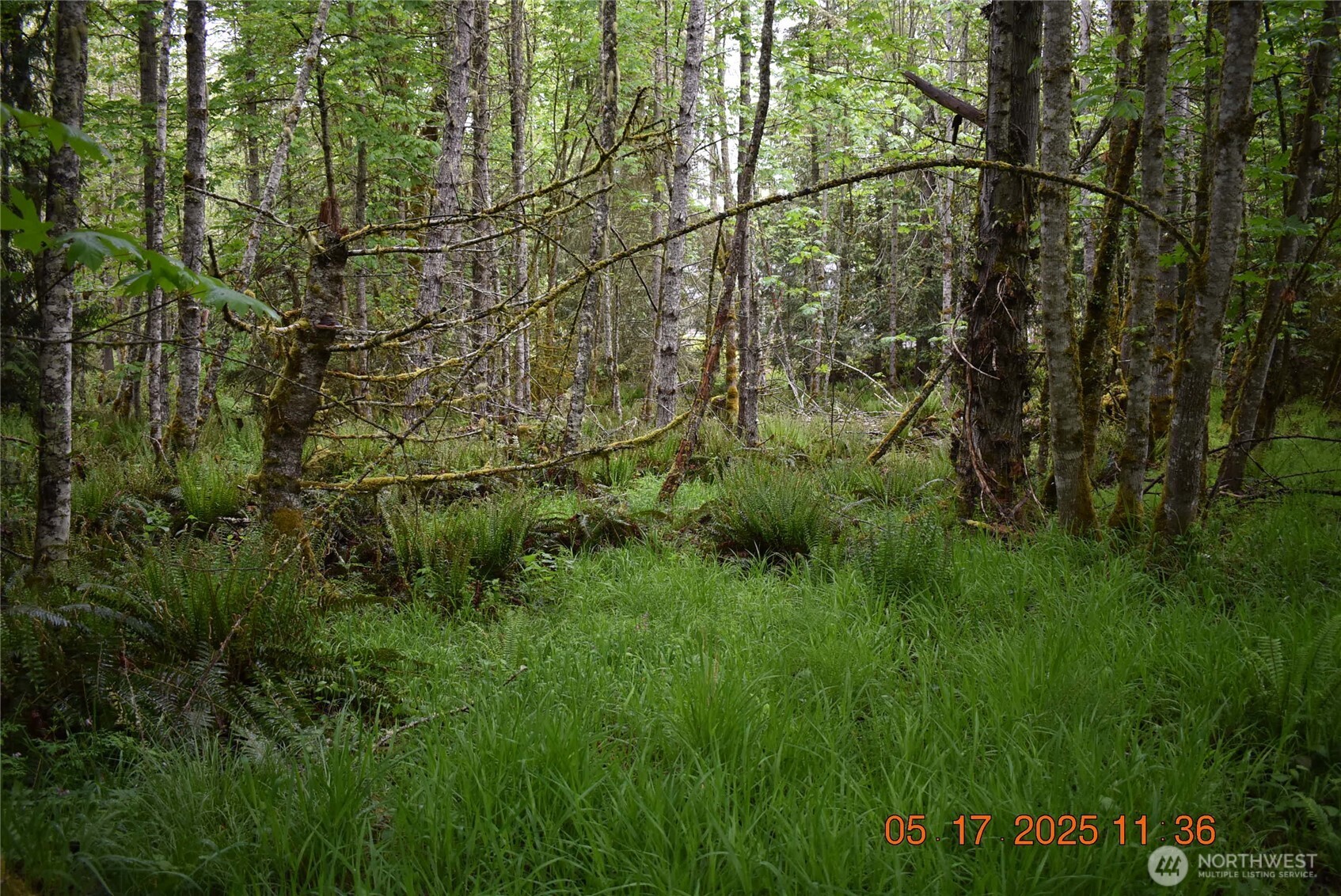 40 Township Line Rd Port Port Angeles, WA 98362 - Photo 25 of 34 a view of a yard