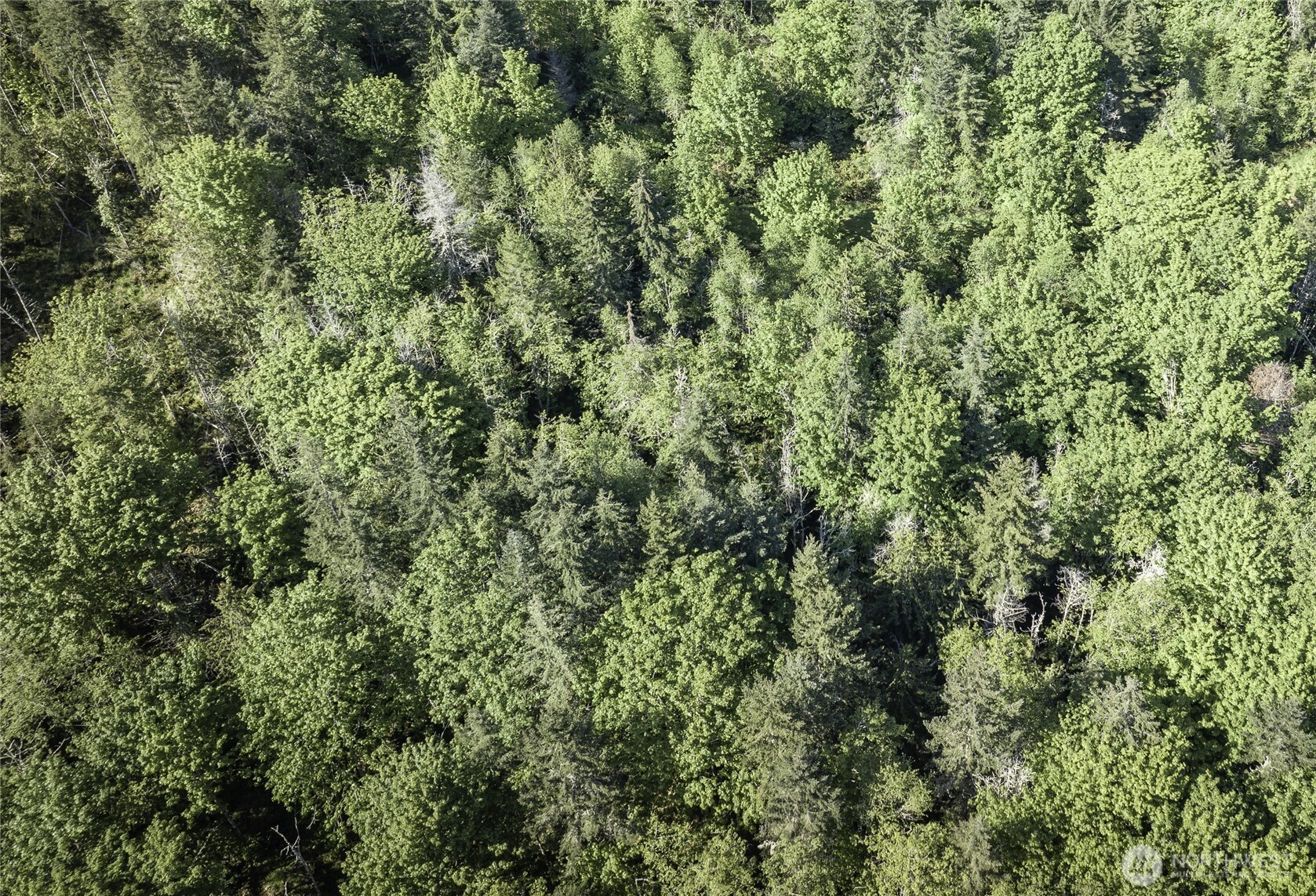 40 Township Line Rd Port Port Angeles, WA 98362 - Photo 27 of 34 an outdoor view of a house with a tree
