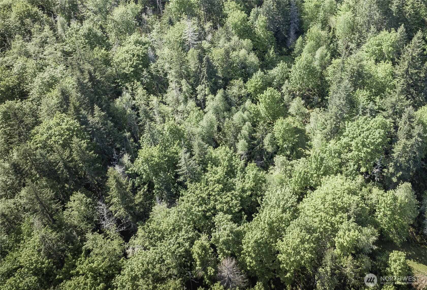 40 Township Line Rd Port Port Angeles, WA 98362 - Photo 28 of 34 an aerial view of residential house with outdoor space and trees all around