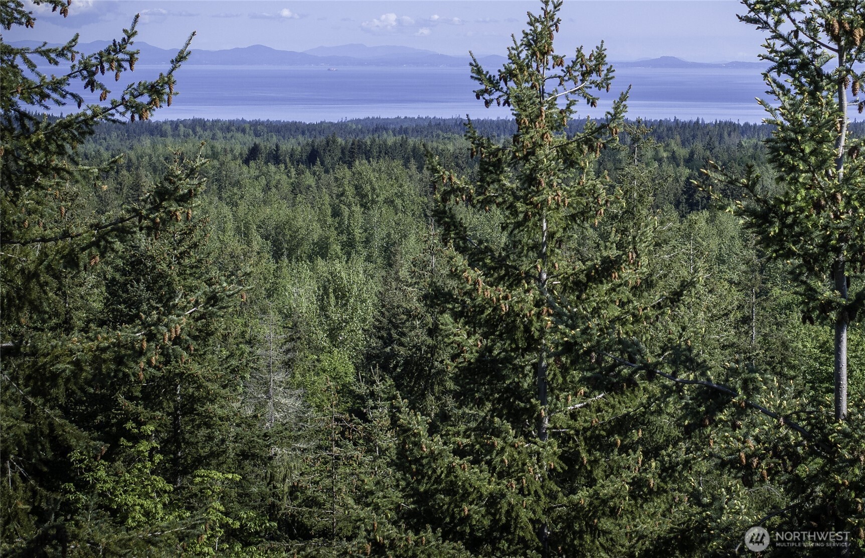 40 Township Line Rd Port Port Angeles, WA 98362 - Photo 30 of 34 a view of a lush green field