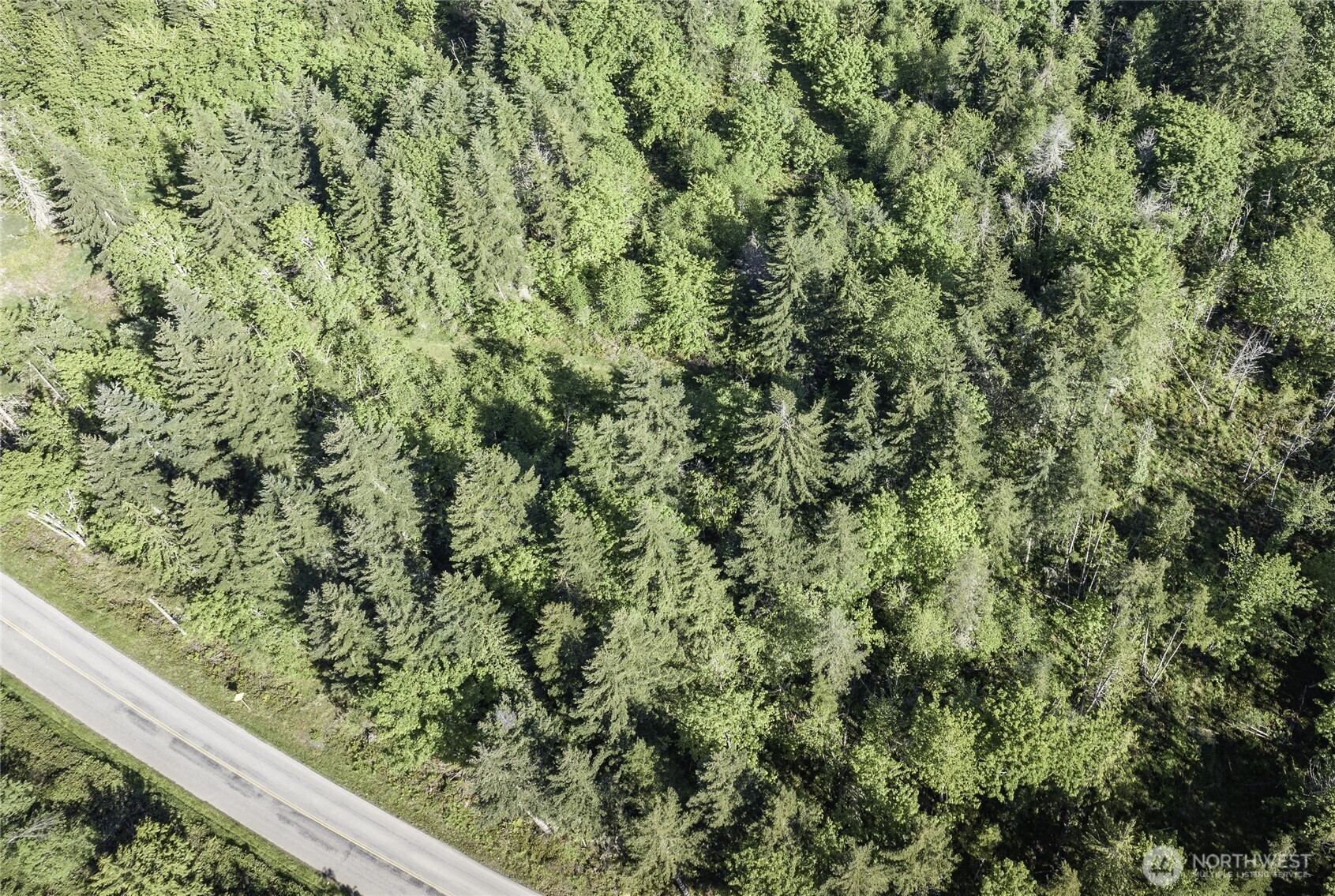 40 Township Line Rd Port Port Angeles, WA 98362 - Photo 31 of 34 a view of a forest from a window