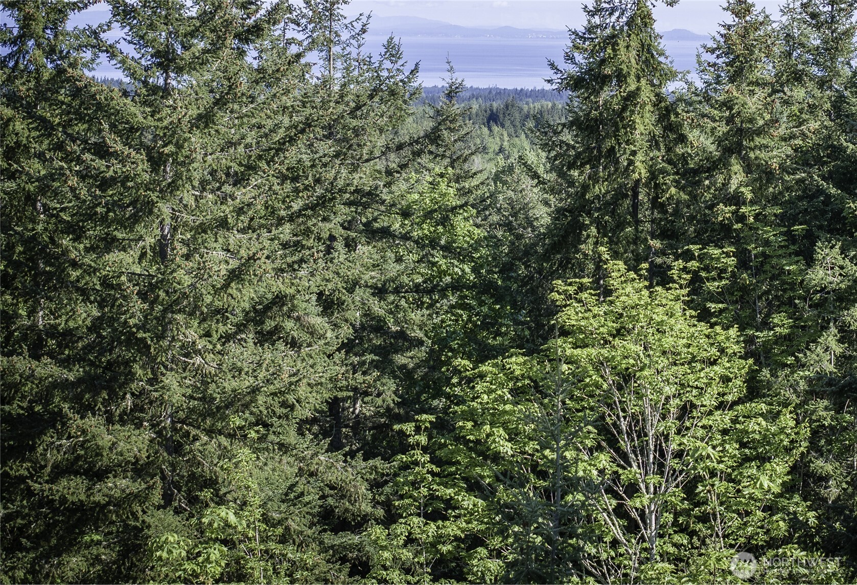 40 Township Line Rd Port Port Angeles, WA 98362 - Photo 32 of 34 view of a field of grass and trees