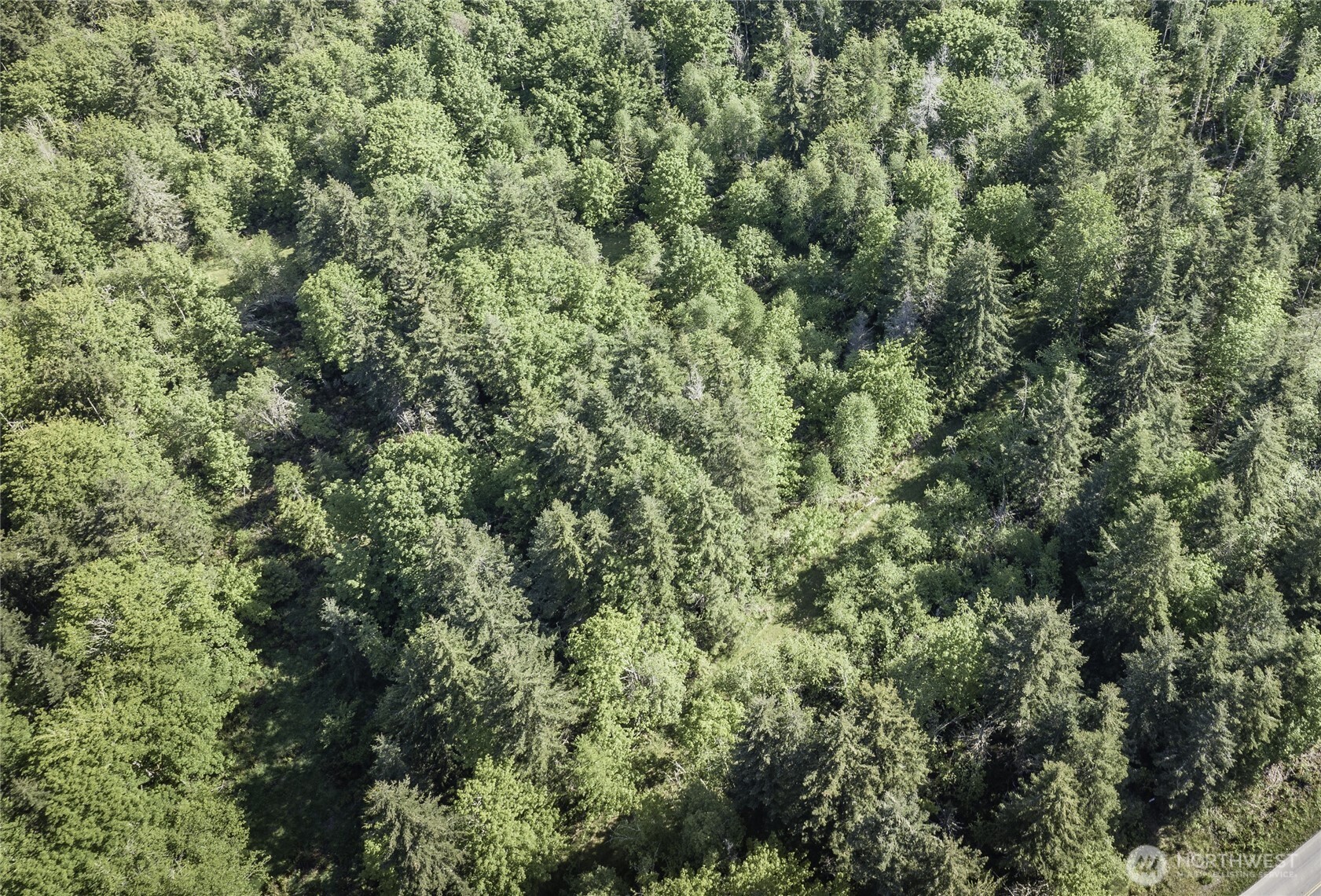 40 Township Line Rd Port Port Angeles, WA 98362 - Photo 34 of 34 view of a lots of trees and bushes