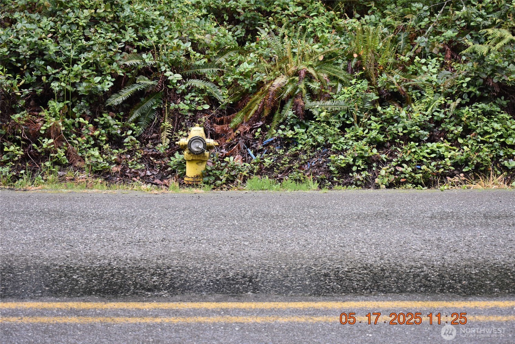 40 Township Line Rd Port Port Angeles, WA 98362 - Photo 4 of 34 a view of a garden
