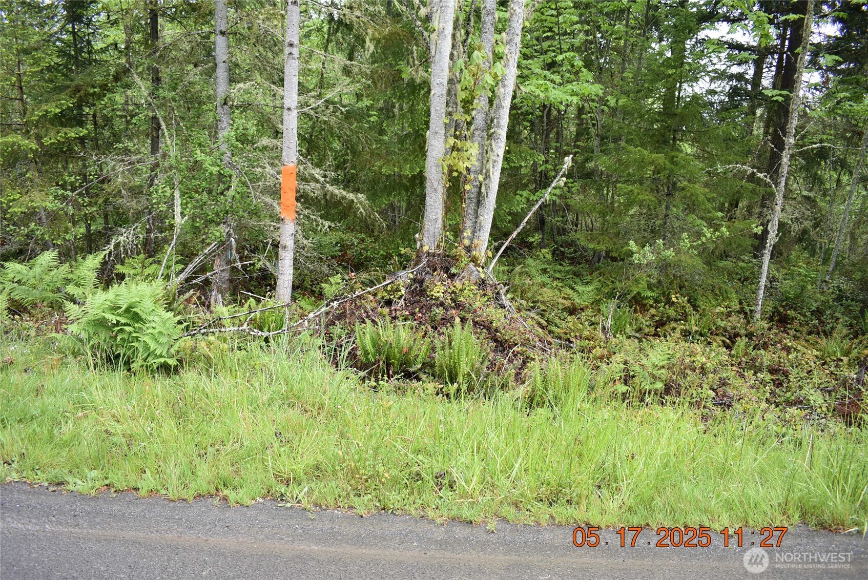 40 Township Line Rd Port Port Angeles, WA 98362 - Photo 7 of 34 a view of a garden