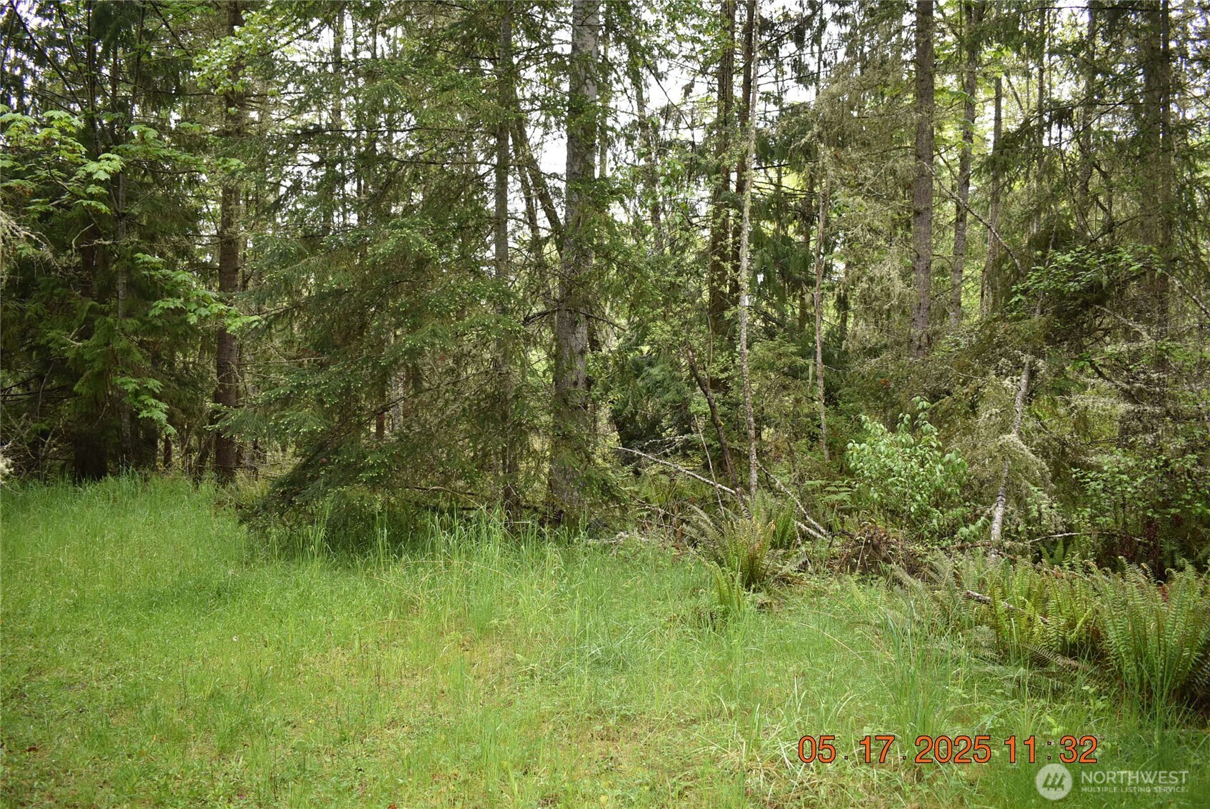 40 Township Line Rd Port Port Angeles, WA 98362 - Photo 10 of 34 a view of a lush green space