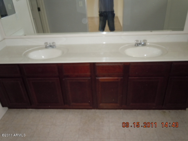 1464 South Hawk Lane Gilbert, AZ 85296 - Photo 5 of 11 bathroom