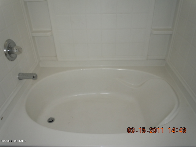 1464 South Hawk Lane Gilbert, AZ 85296 - Photo 10 of 11 bathroom