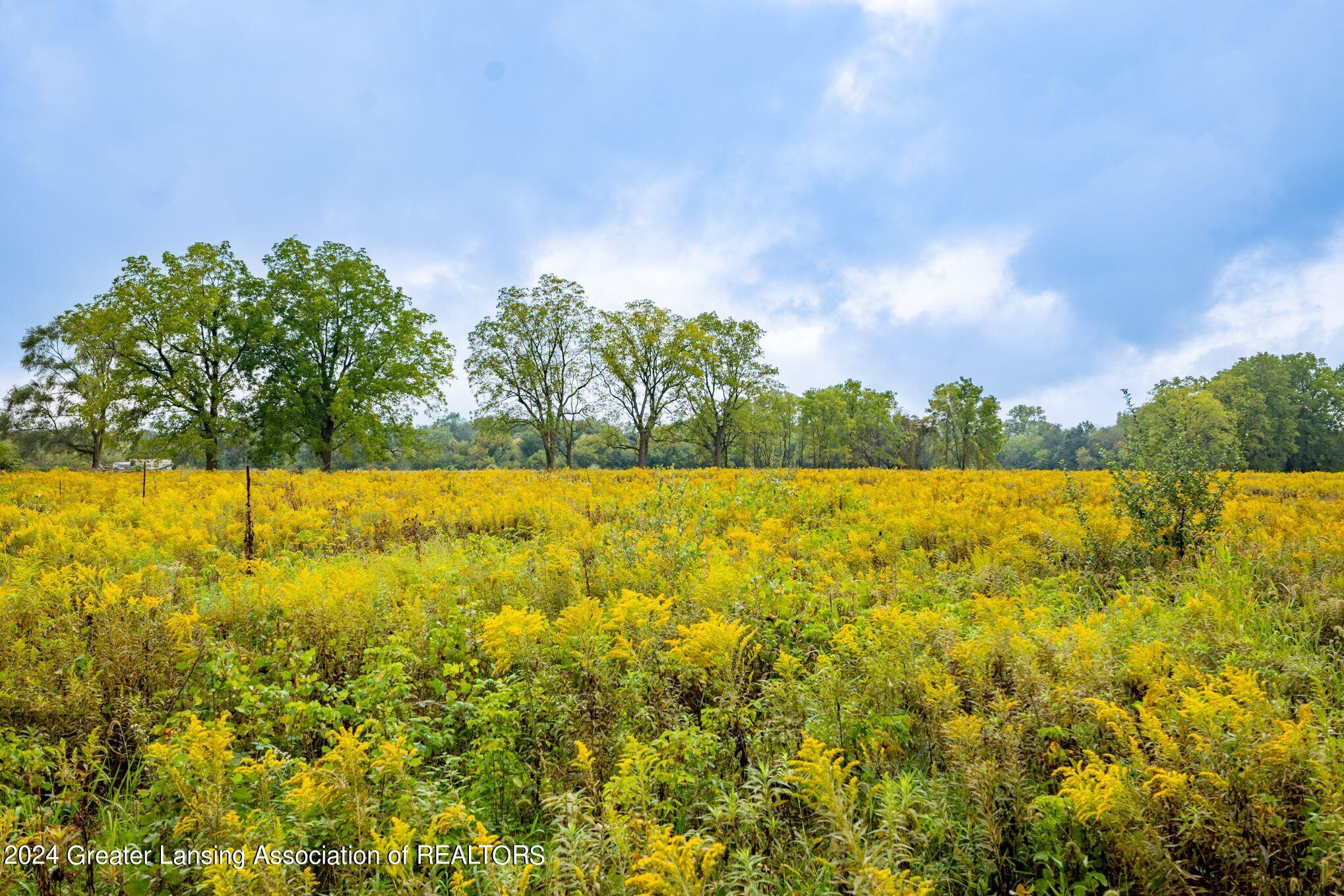 3630 Milner Road Stockbridge, MI 49285 - Photo 23 of 23 Land