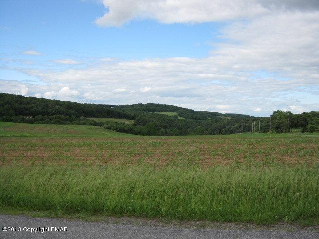 Lot # Winter Mountain Road Andreas, PA 18211 - Photo 1 of 1 Main View