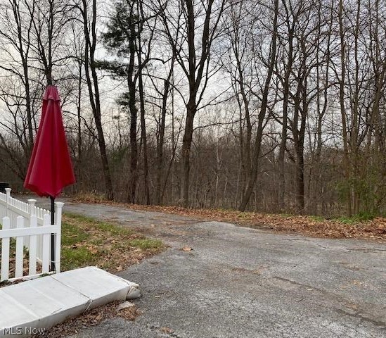 202 Old State Road South Norwalk, OH 44857 - Photo 33 of 37
