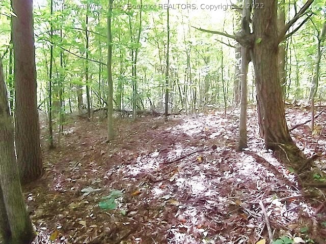 0 Big Pigeon Road Amma, WV 25005 - Photo 16 of 28 Gallery Image 16