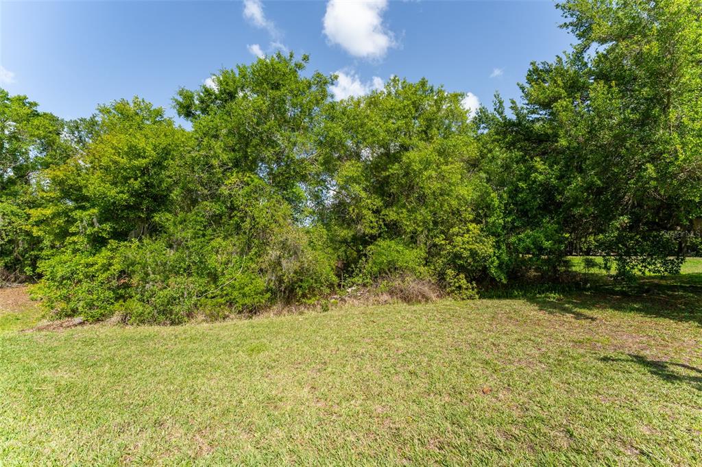 5638 Rockfield Loop Valrico, FL 33596 - Photo 5 of 26