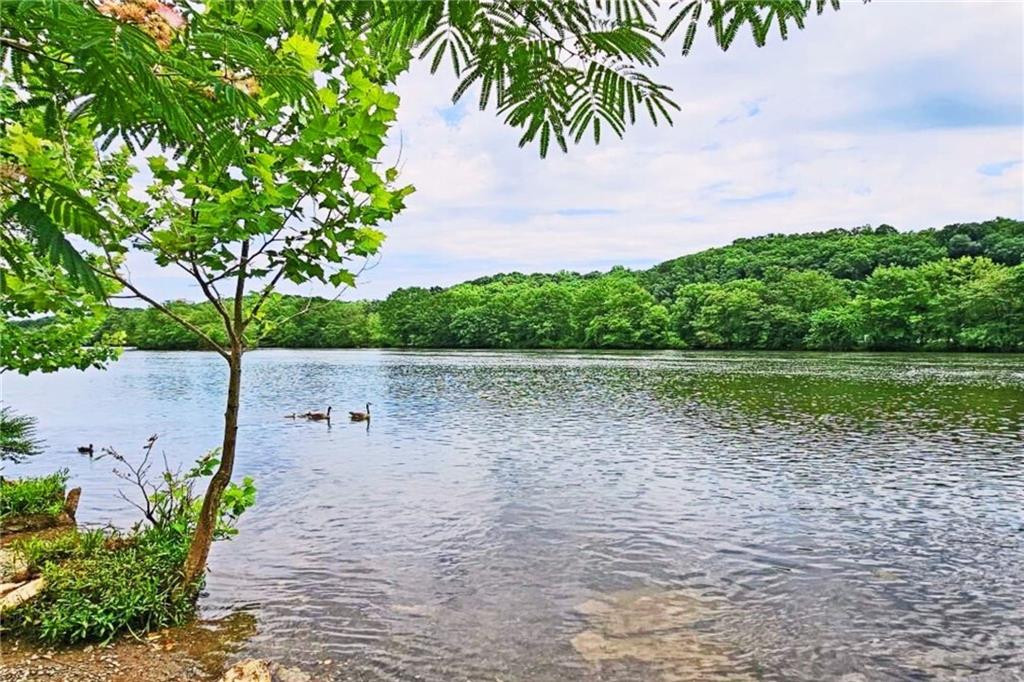 101 Park Ridge Circle Marietta, GA 30068 - Photo 45 of 52 a view of a lake and a yard