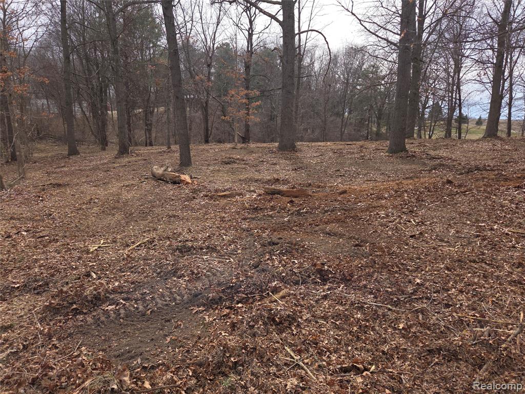 Tbd Cohoctah Road Fenton, MI 48430 - Photo 1 of 1