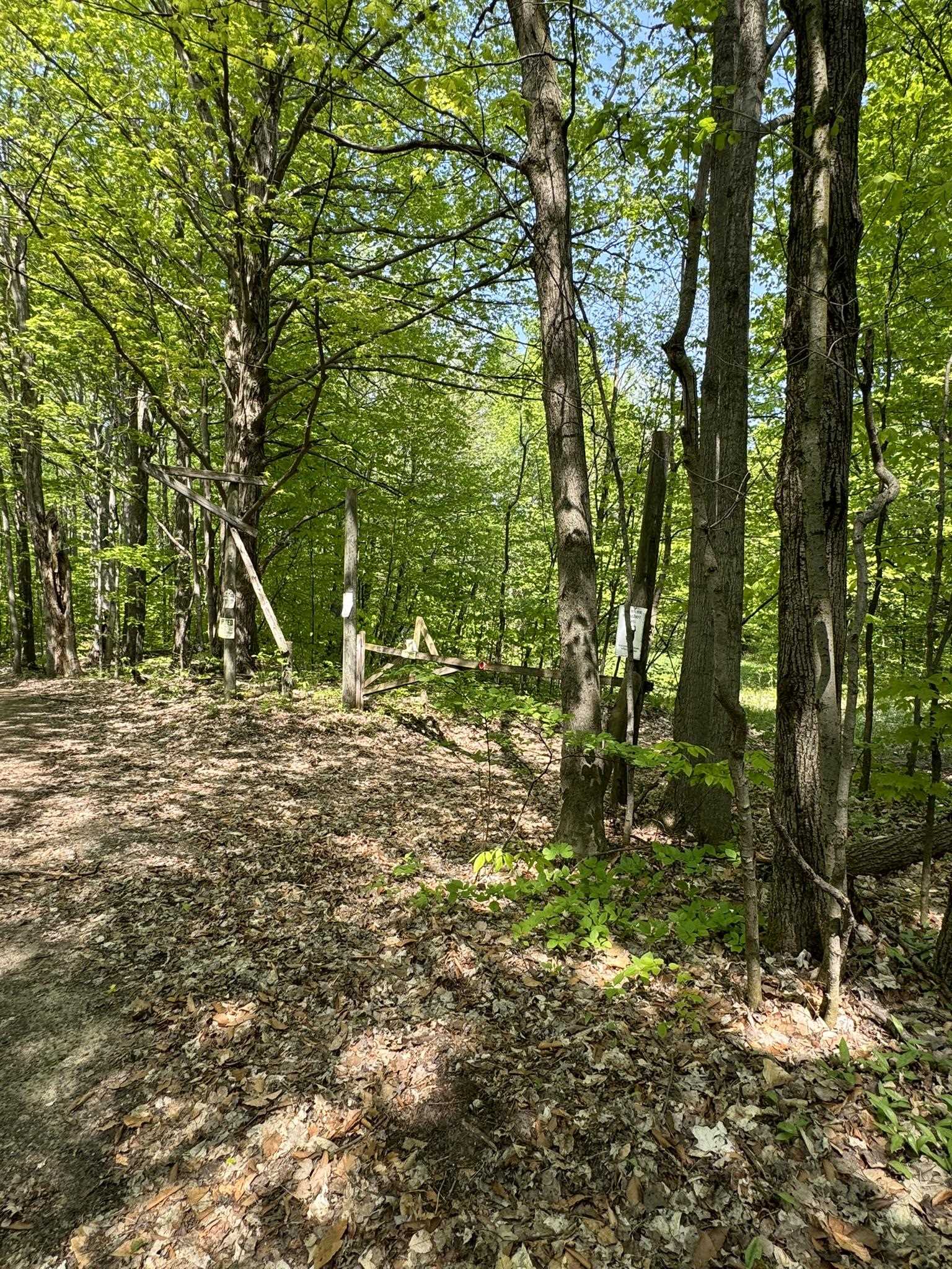 12499 23 Mile Road Tustin, MI 49688 - Photo 55 of 76 1922802-f8145f50-c244-4bf4-8325-31752edecc60.JPG
