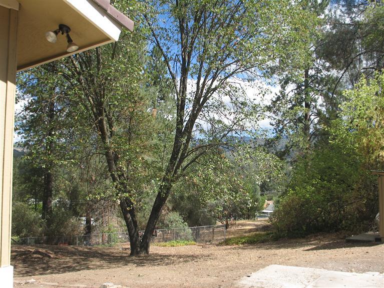 39761 Pine Ridge Road Oakhurst, CA 93644 - Photo 18 of 20 Gallery Image 18