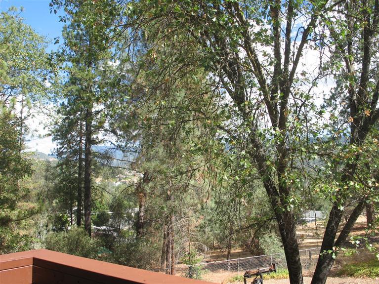 39761 Pine Ridge Road Oakhurst, CA 93644 - Photo 19 of 20 Gallery Image 19