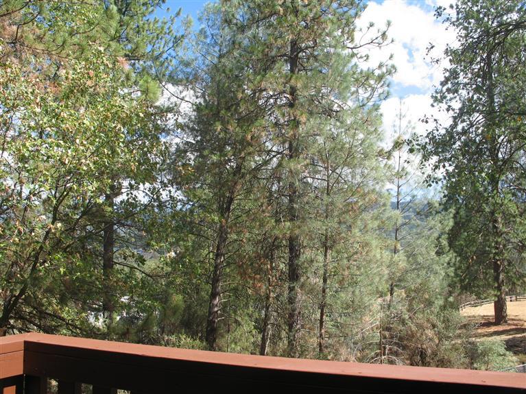 39761 Pine Ridge Road Oakhurst, CA 93644 - Photo 20 of 20 Gallery Image 20