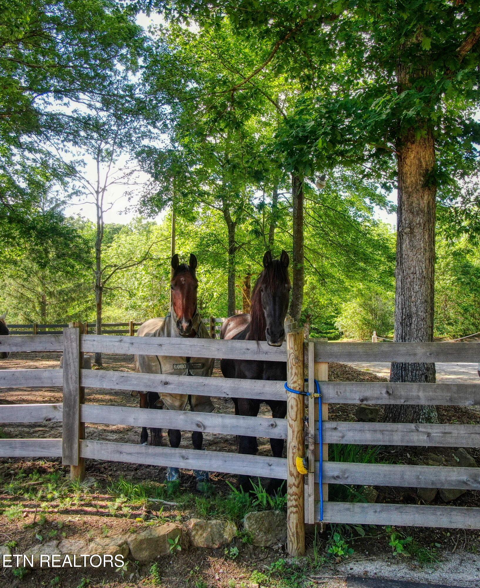 3516 Leatherwood Ford Road Jamestown, TN 38556 - Photo 31 of 49 31