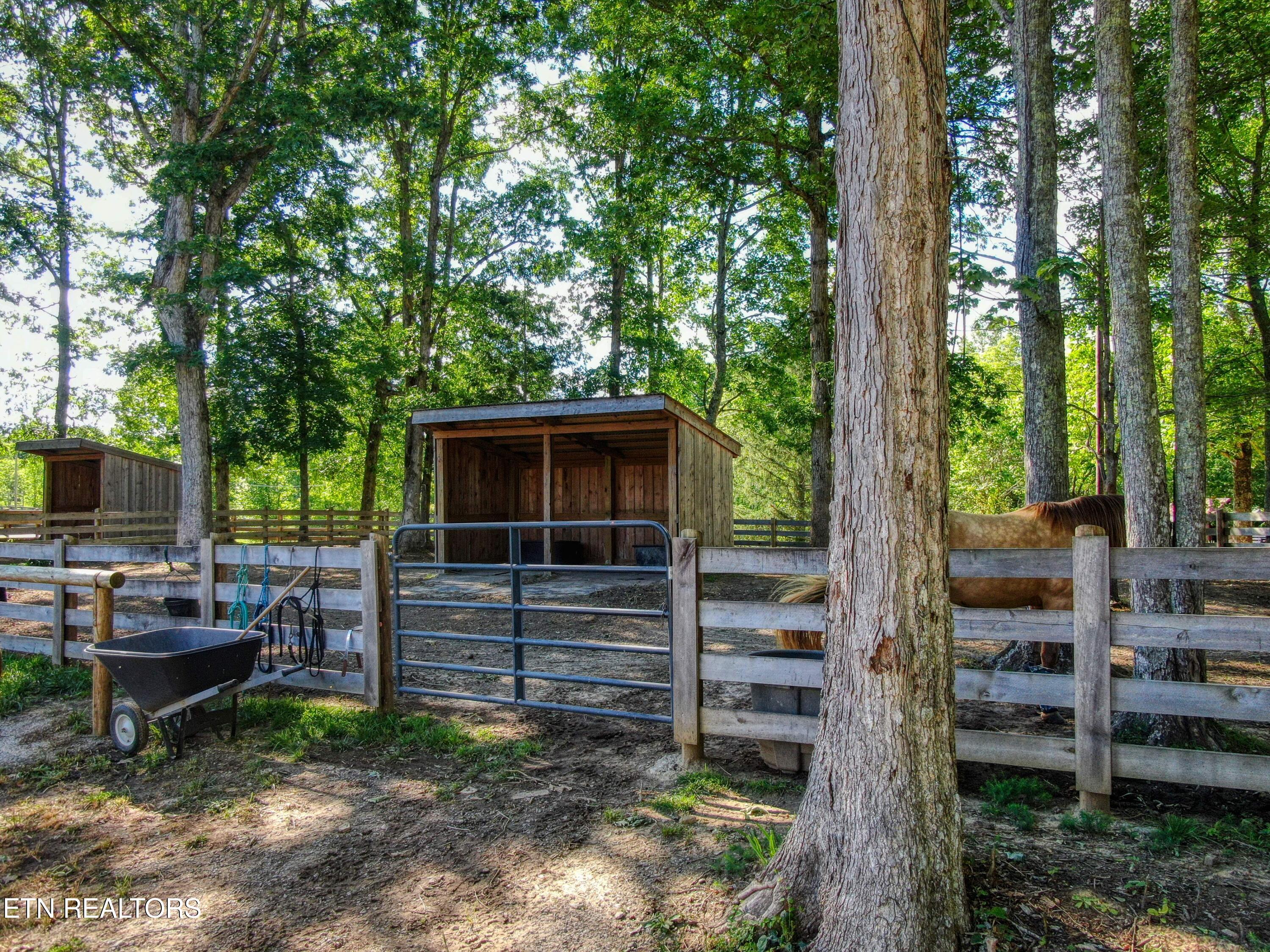 3516 Leatherwood Ford Road Jamestown, TN 38556 - Photo 32 of 49 32