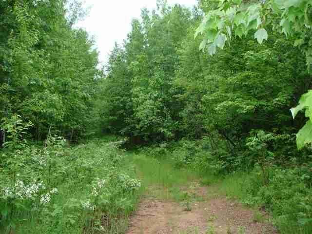 Off Flag Road Iron River, WI 54847 - Photo 6 of 8 Gallery Image 6