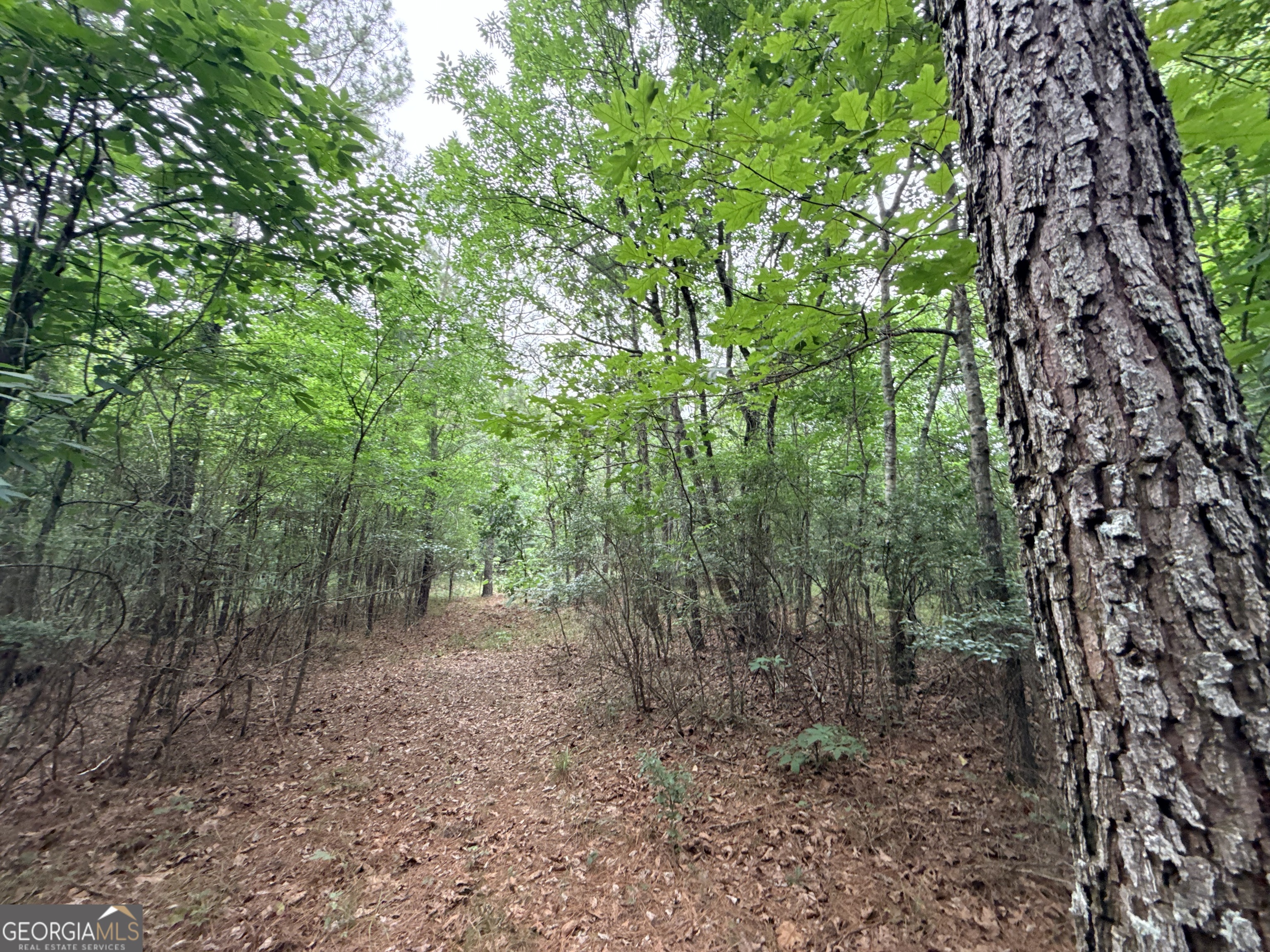 2 Bethesda Church Road Lexington, GA 30648 - Photo 14 of 66