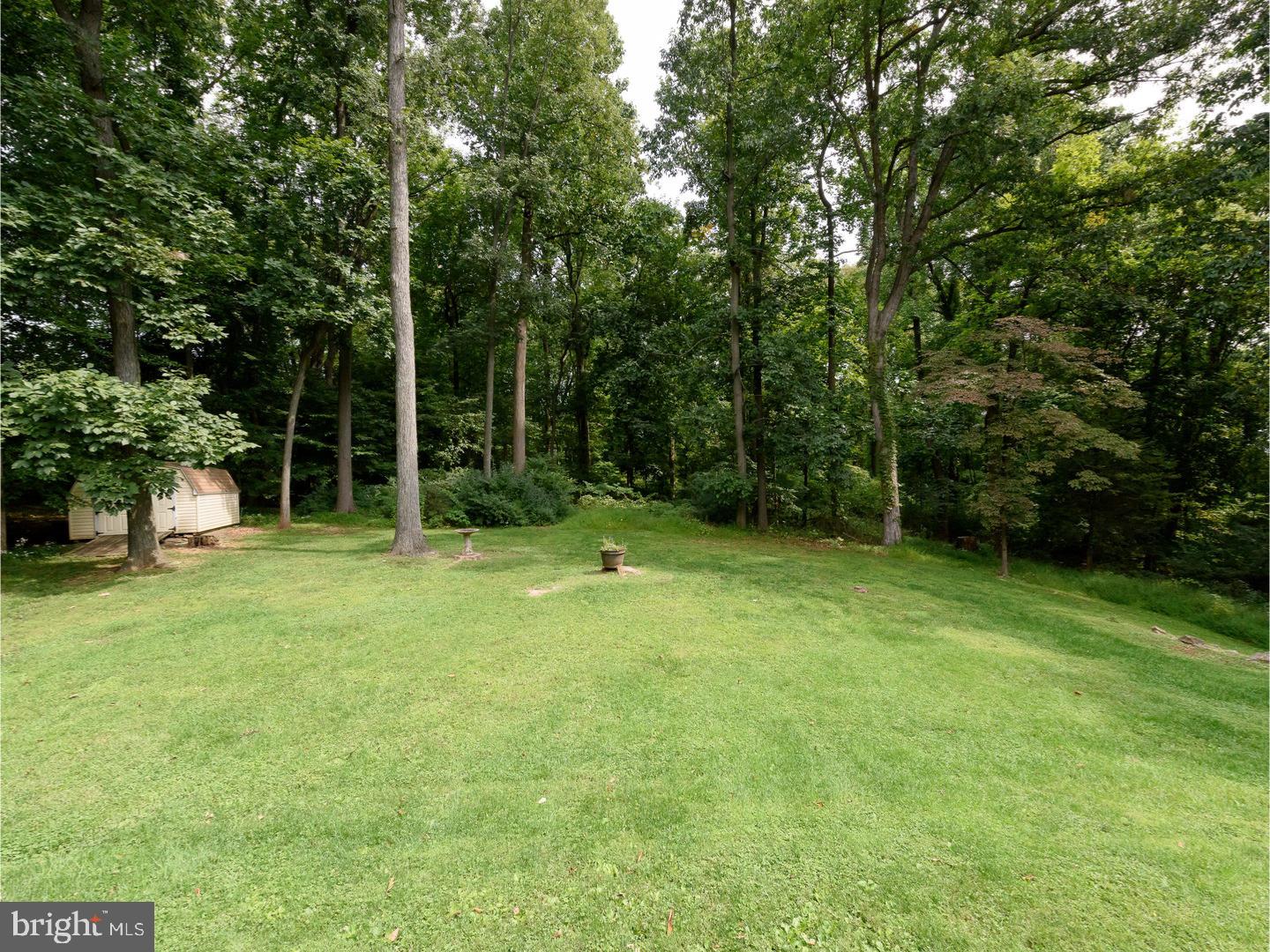 620 Fellowship Road Chester Springs, PA 19425 - Photo 25 of 25 Back Yard