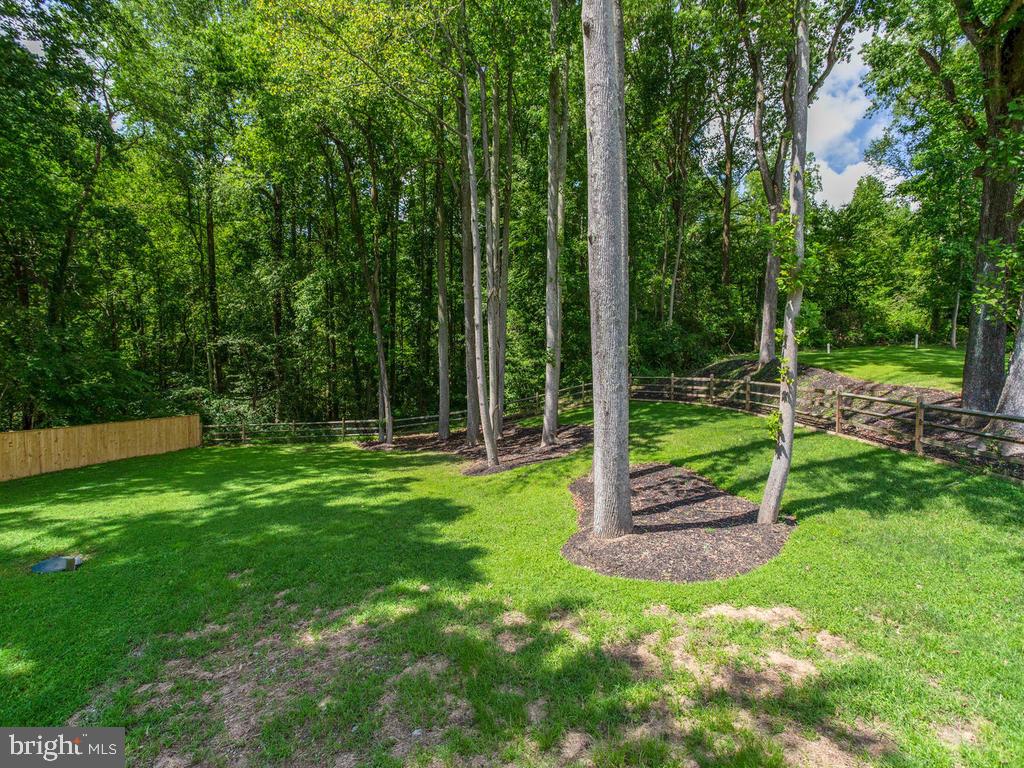 6678 Old Solomons Island Road Friendship, MD 20758 - Photo 26 of 57 a view of a park with a tree