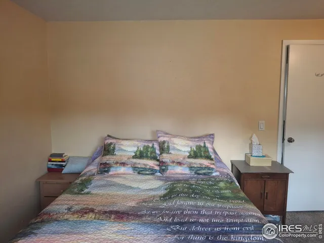 a bedroom with a bed and a rug