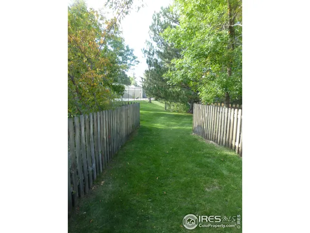 a view of a tree with a yard