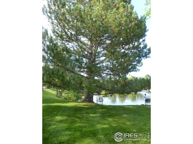 a view of a back yard