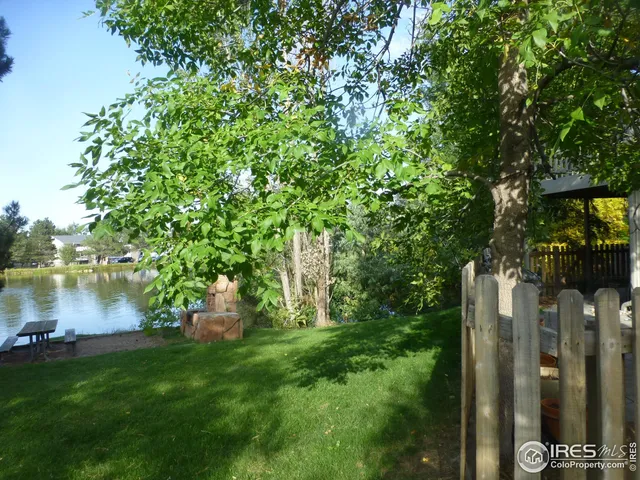 a view of a lake from a yard
