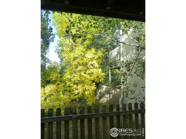 a view of a window in a picture