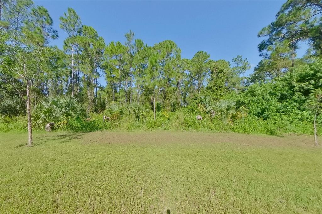 2103 Roosevelt Avenue Alva, FL 33920 - Photo 23 of 24