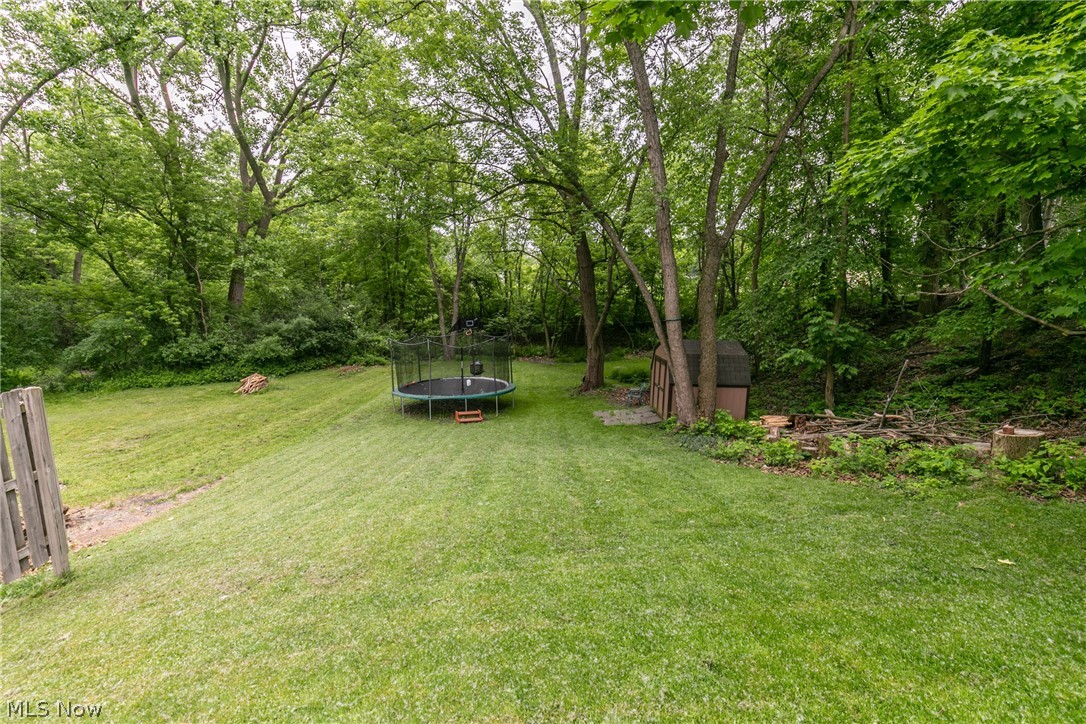 1739 South Green Road Cleveland, OH 44121 - Photo 6 of 28 Back Yard