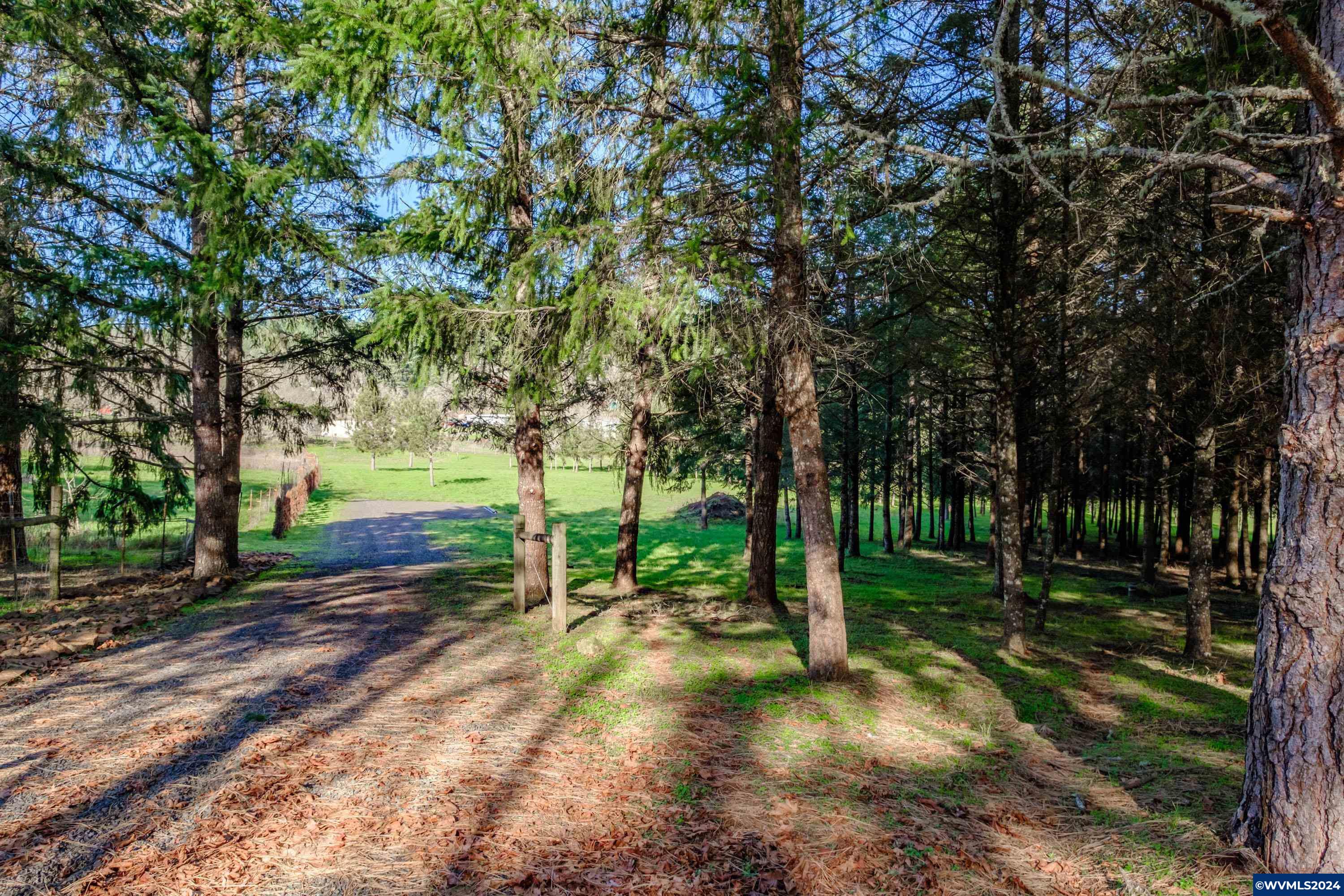 Buck Hill Lane Lebanon, OR 97355 - Photo 19 of 31