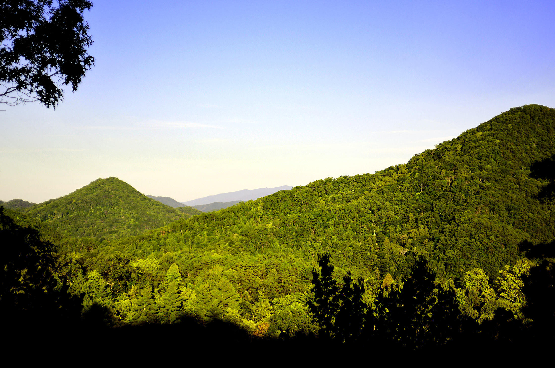 2135 Sky Top Road Walland, TN 37886 - Photo 3 of 4 2135 Sky Top Road