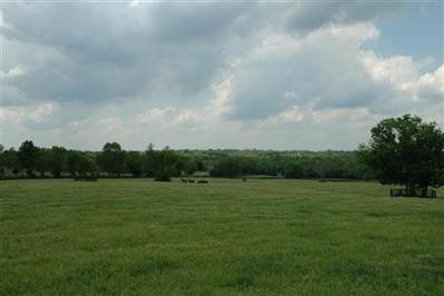 0 Kidds Mill Road Versailles, KY 40383 - Photo 19 of 29 Photo 19