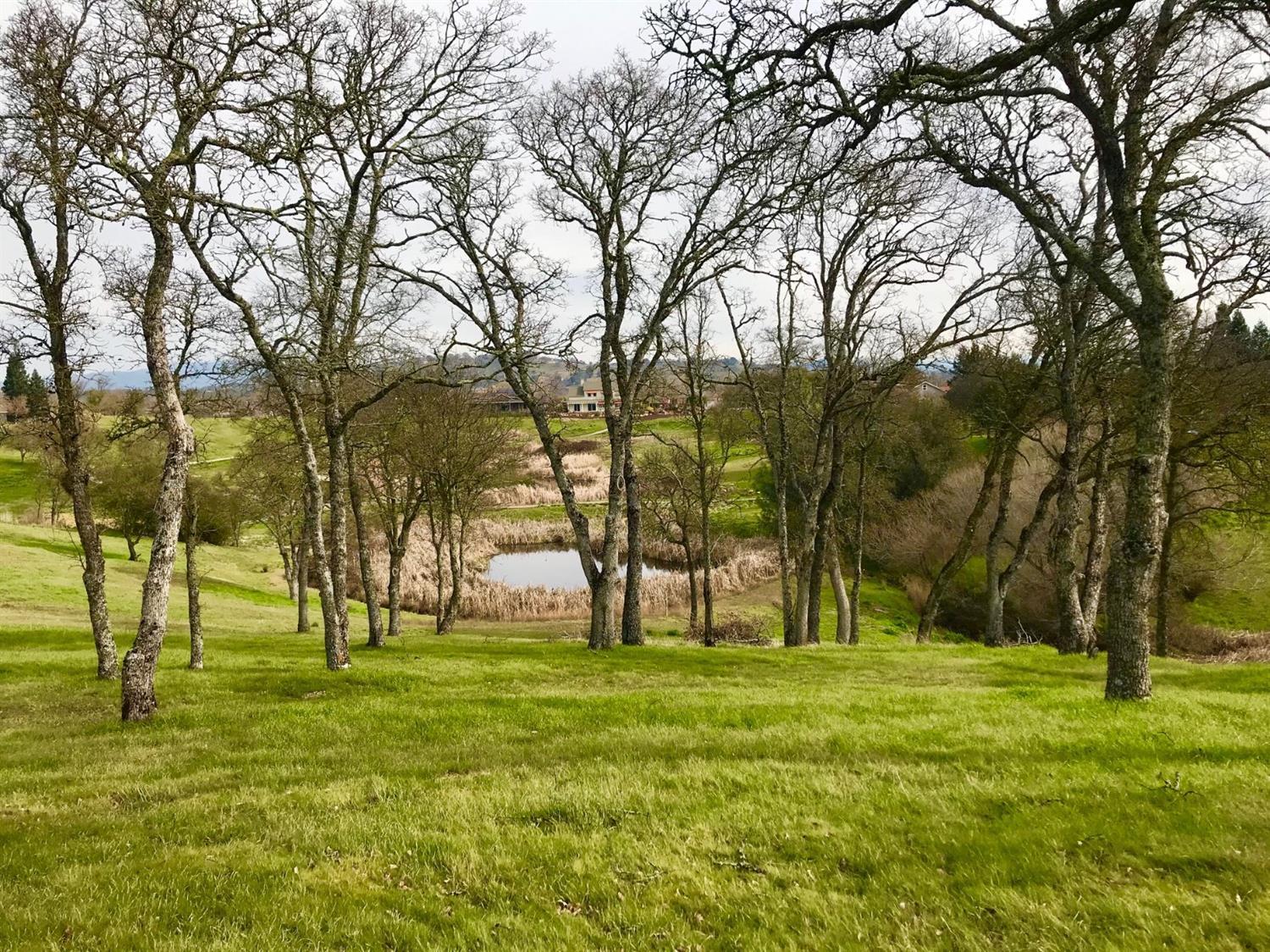 287 Hawk Ridge Copperopolis, CA 95228 - Photo 29 of 30