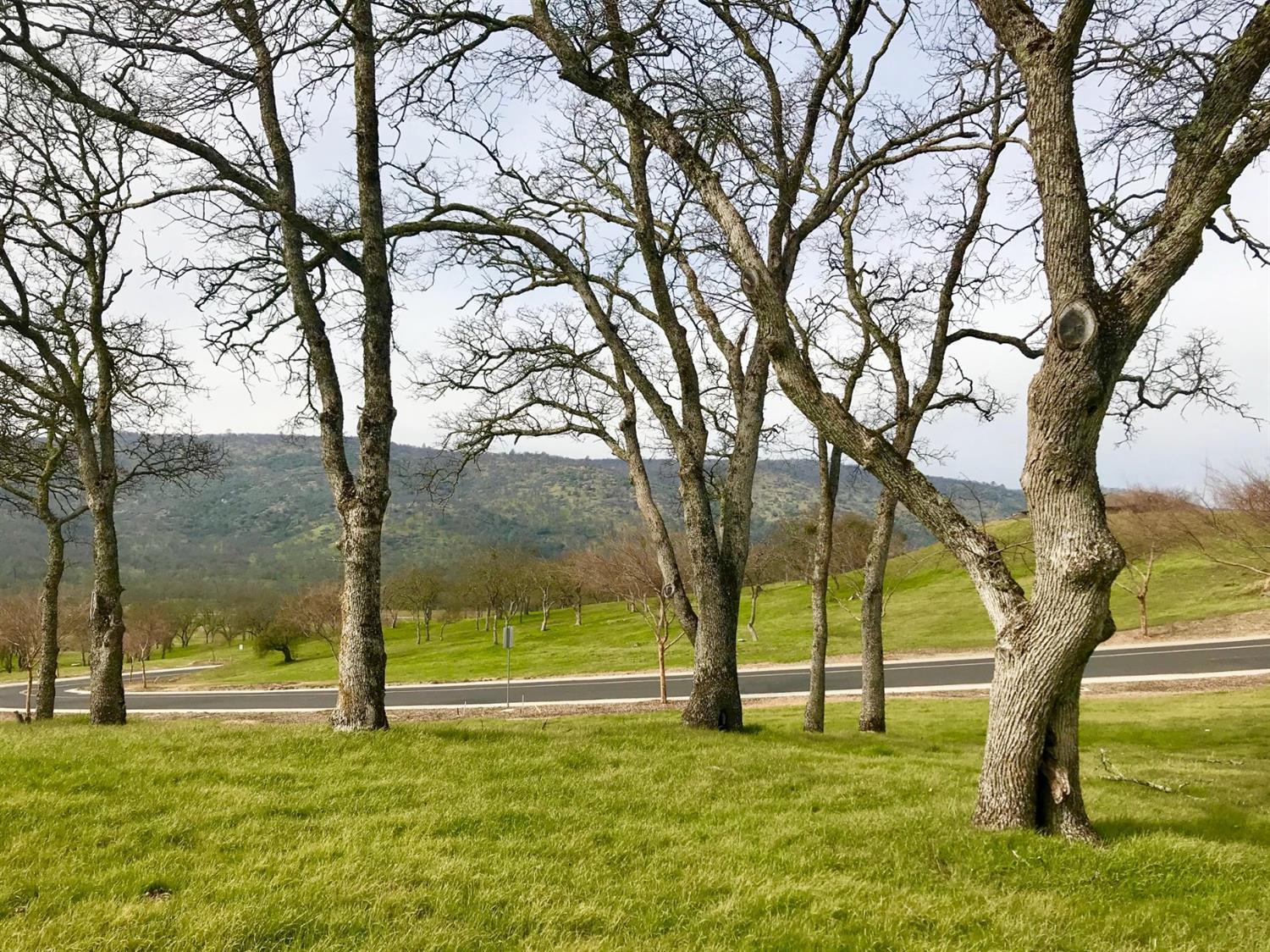 287 Hawk Ridge Copperopolis, CA 95228 - Photo 30 of 30