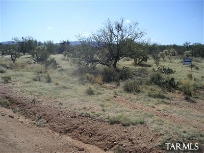 15502 West Pyle Road Tucson, AZ 85736 - Photo 1 of 7 Gallery Image 1