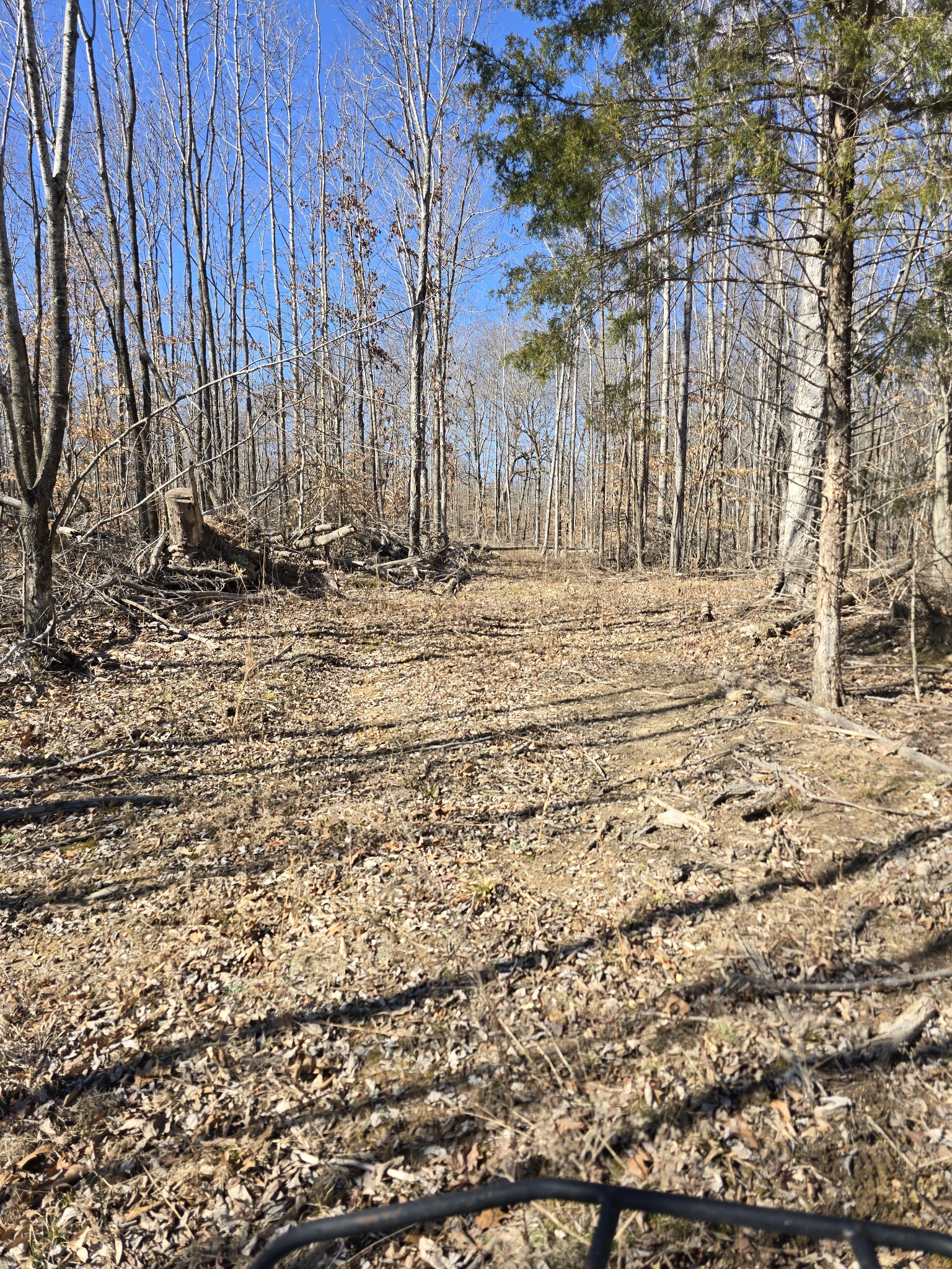 0 Honey Fork Road Indian Mound, TN 37079 - Photo 1 of 13 a view of a backyard of the house