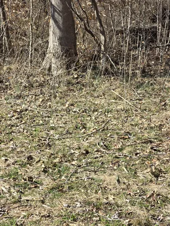 $270,000 | 0 Honey Fork Road, Indian Mound, TN 37079