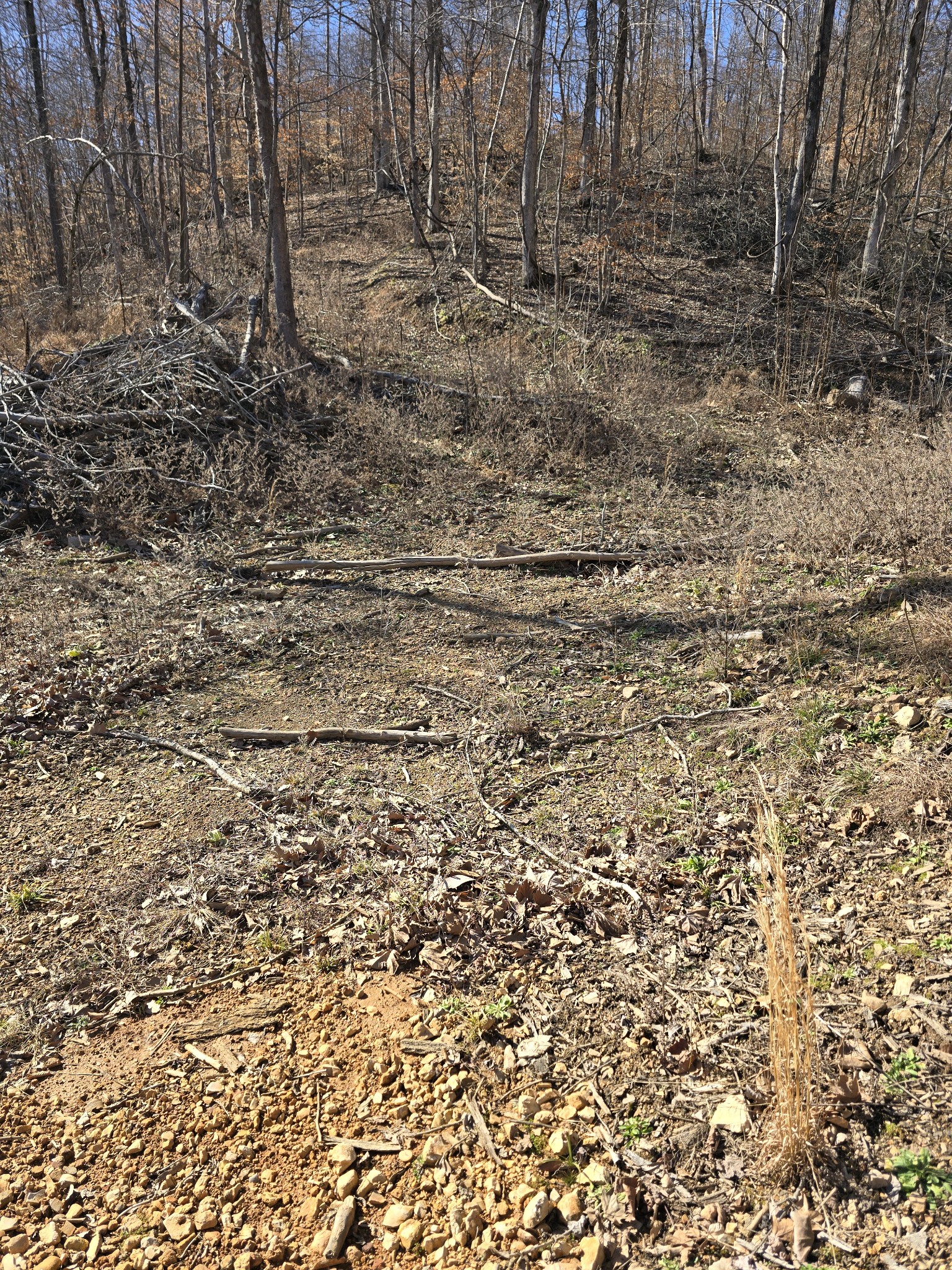 0 Honey Fork Road Indian Mound, TN 37079 - Photo 2 of 13 a view of a yard