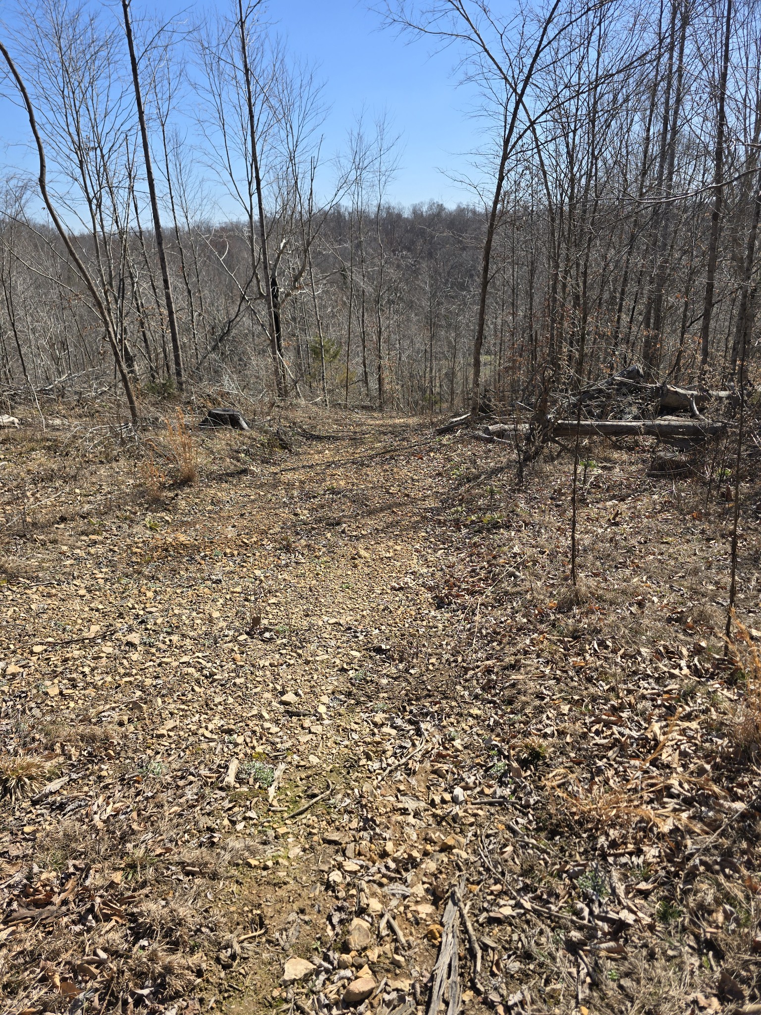 0 Honey Fork Road Indian Mound, TN 37079 - Photo 4 of 13 a view of wooden fence of a house