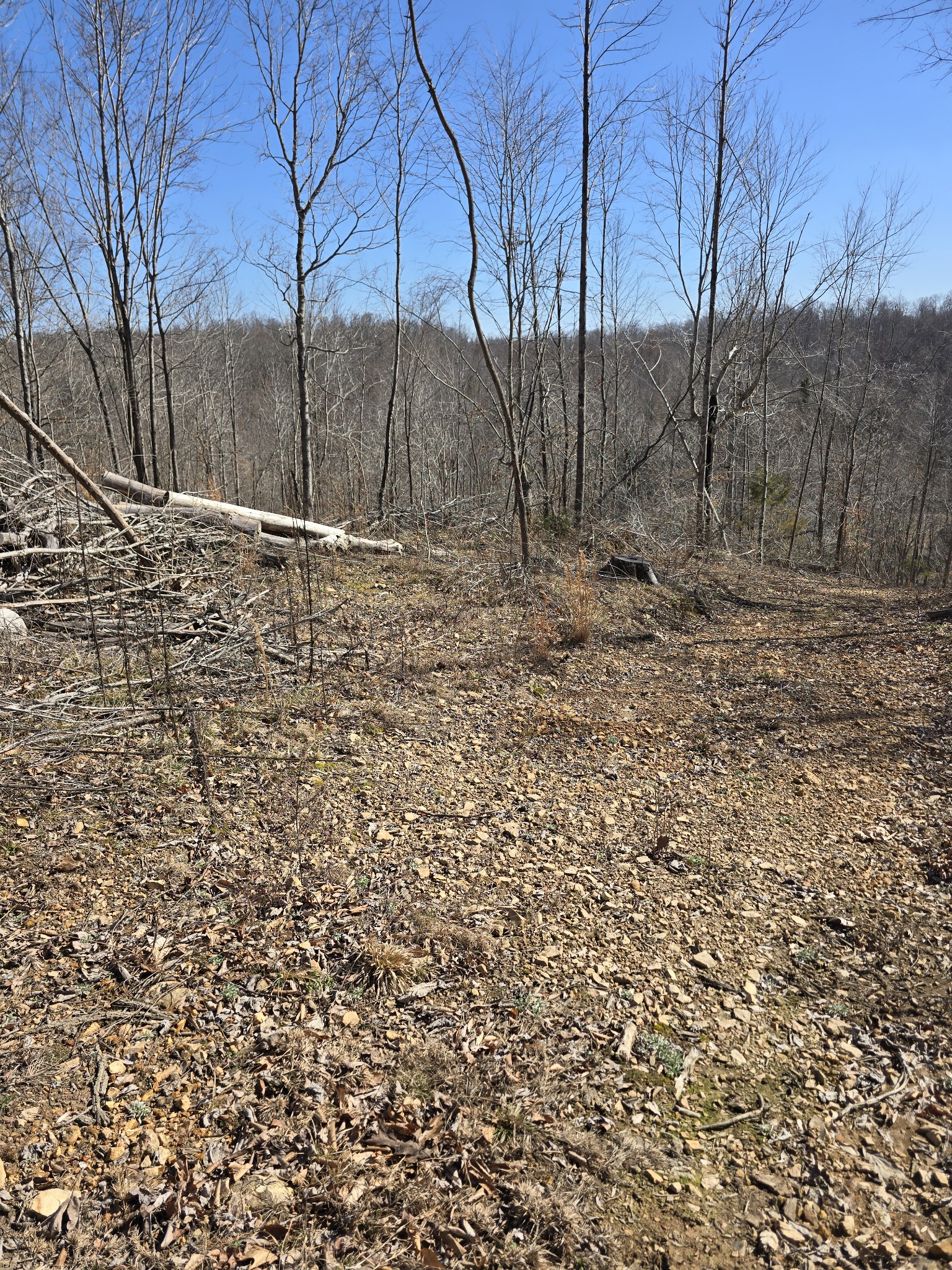 0 Honey Fork Road Indian Mound, TN 37079 - Photo 6 of 13 a backyard of a house with lots of green space