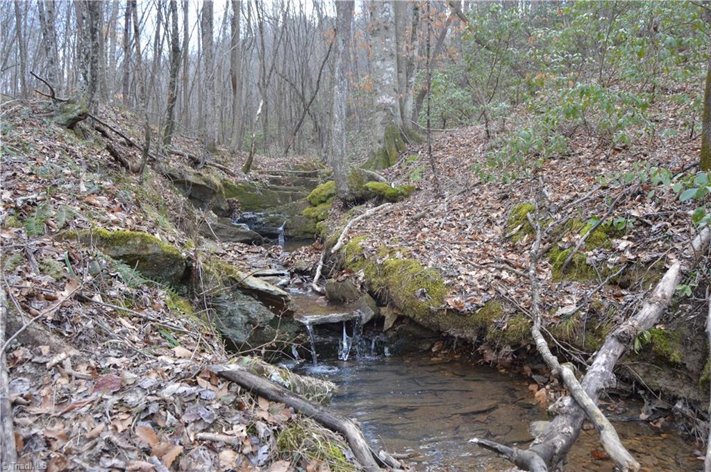 0 Mountain View Church Road King, NC 27021 - Photo 14 of 23 Gallery Image 14