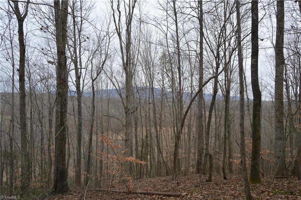0 Mountain View Church Road King, NC 27021 - Photo 8 of 23 Gallery Image 8
